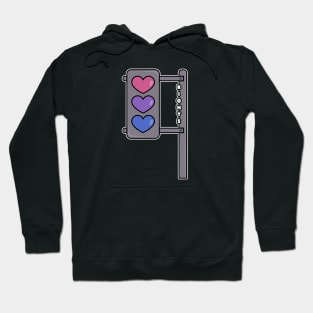 Bi Traffic Rights Hoodie